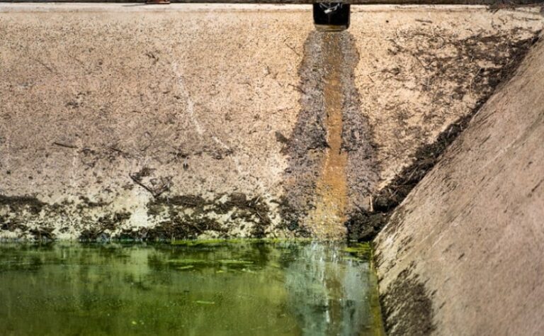 a pipe draining waste into a water supply