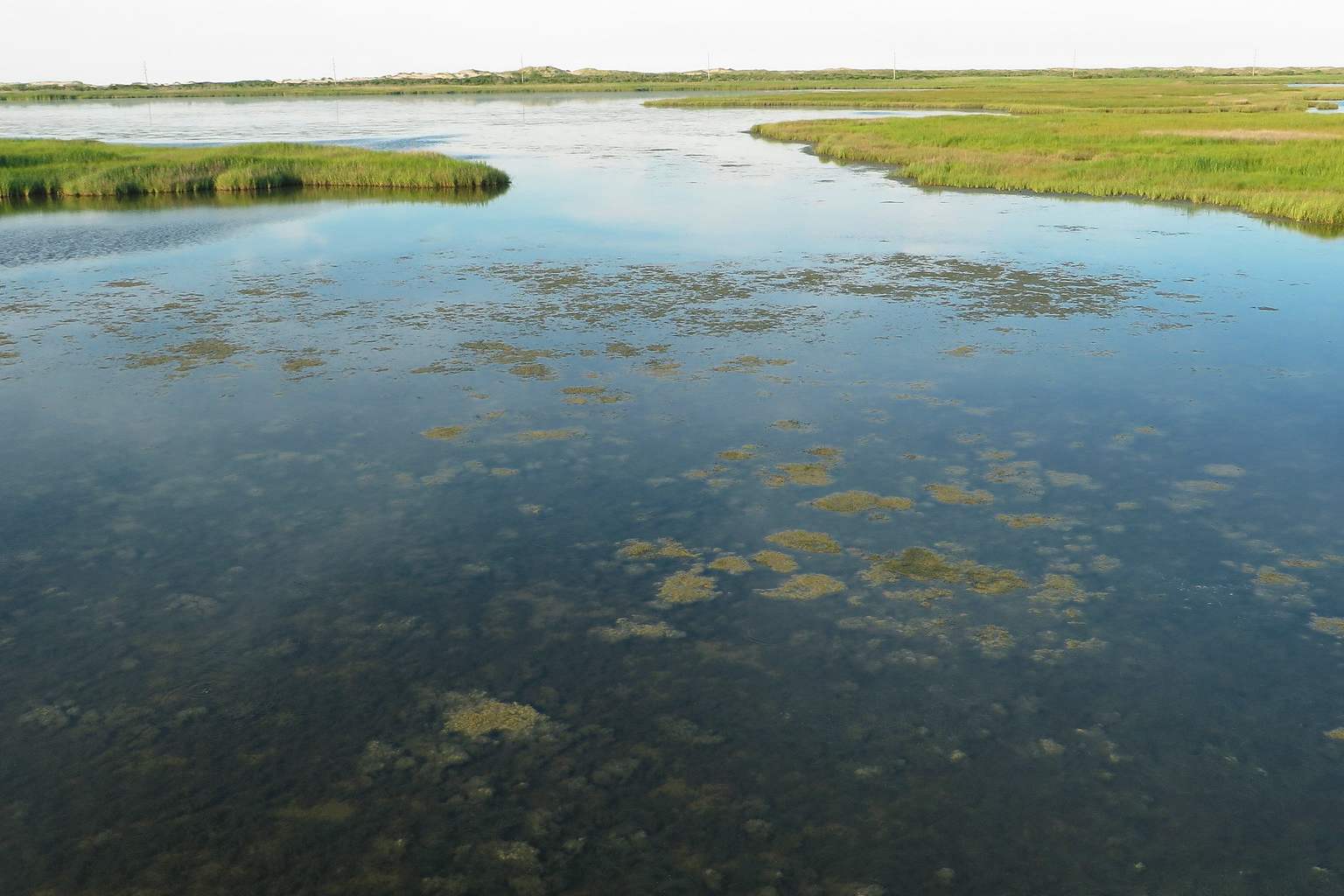 North Carolina PFAS contamination in water